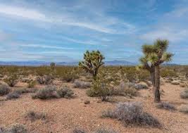 391st Ave W Mountain View RD -, Tonopah, AZ 85354